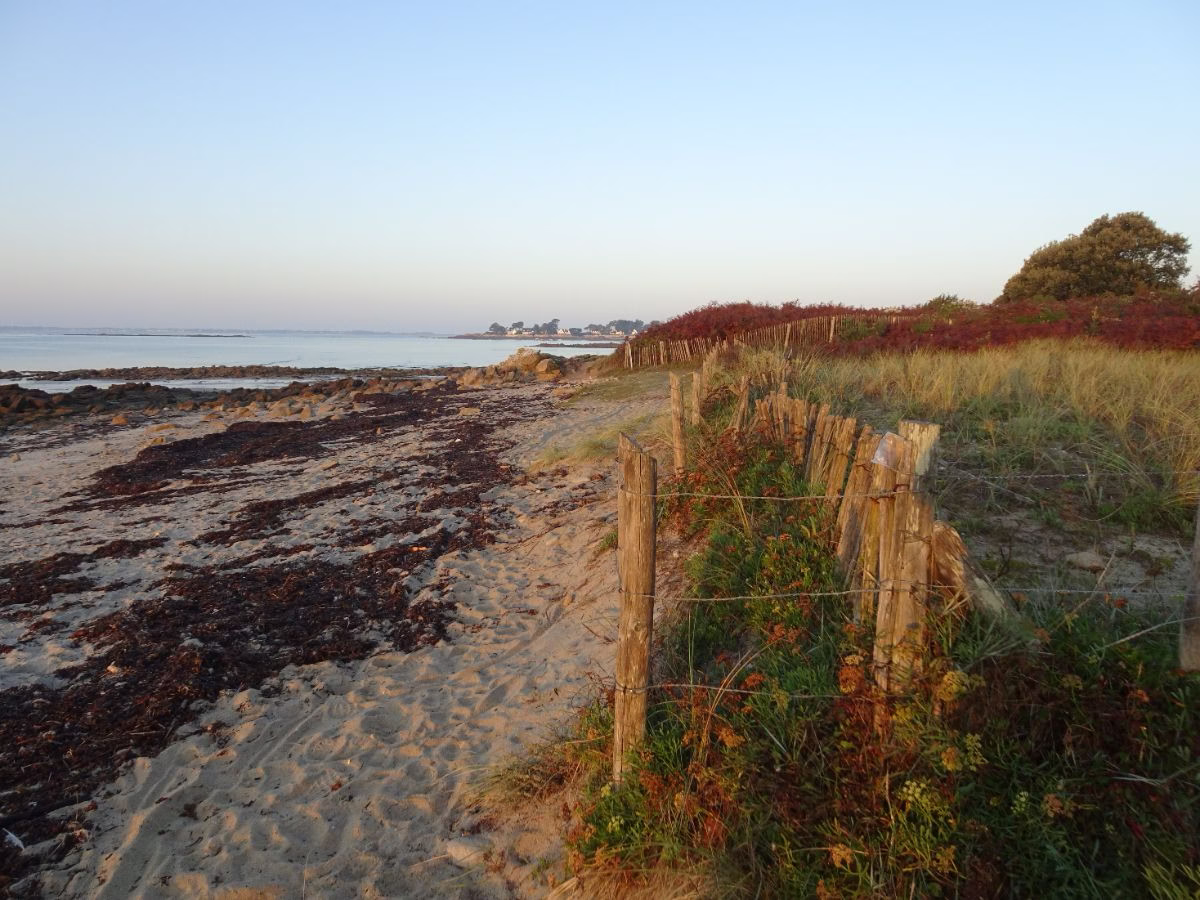 Pointe de Kervillen à La Trinité-sur-Mer